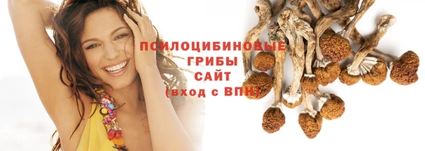 синтетический гашиш Новодвинск