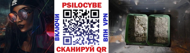 blacksprut как зайти  Шумерля  Галлюциногенные грибы мицелий  как найти закладки 